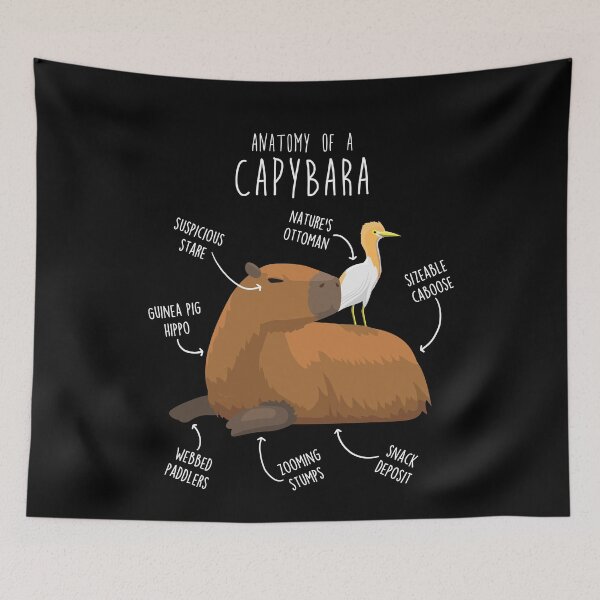 Item preview, Capybara Anatomy designed and sold by Clara Hollins.