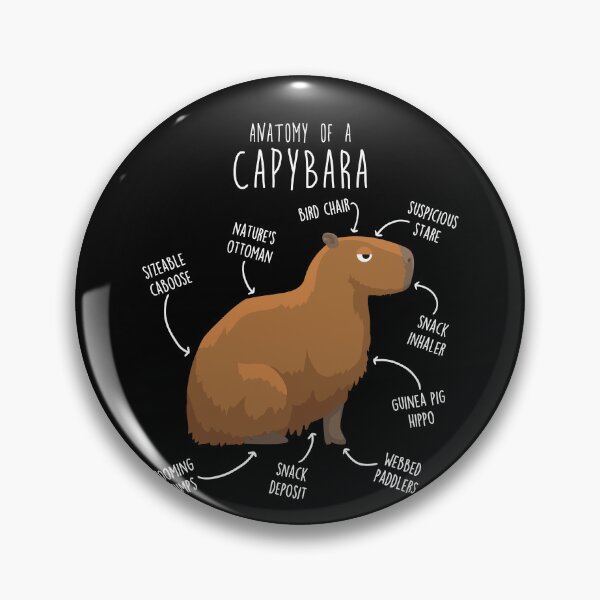 Item preview, Capybara Anatomy designed and sold by Clara Hollins.