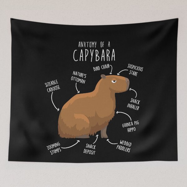 Item preview, Capybara Anatomy designed and sold by Clara Hollins.