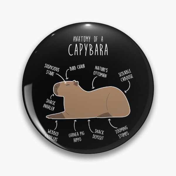 Item preview, Capybara Anatomy designed and sold by Clara Hollins.