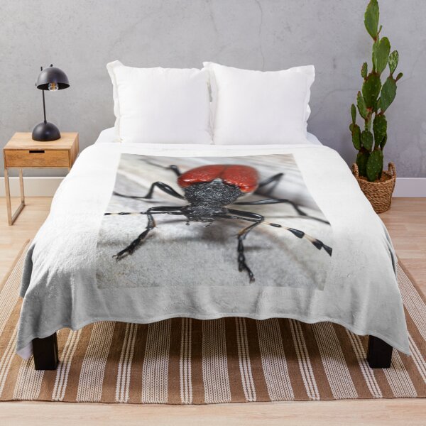 Item preview, Red-shouldered Pine Borer designed and sold by SDym Photography.