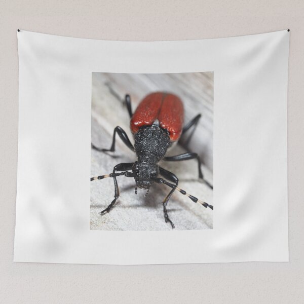 Item preview, Red-shouldered Pine Borer designed and sold by SDym Photography.