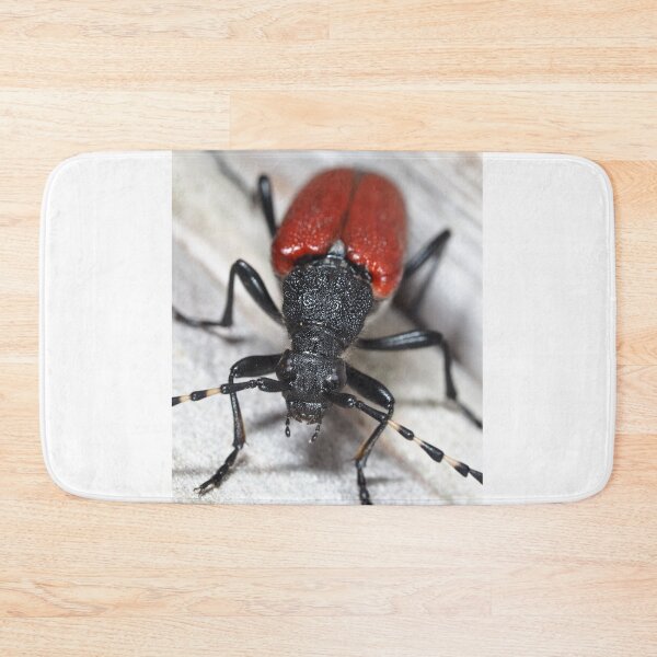 Item preview, Red-shouldered Pine Borer designed and sold by SDym Photography.