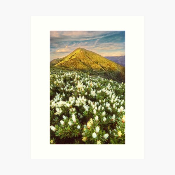 Item preview, Last light on Feathertop designed and sold by Kevin McGennan.