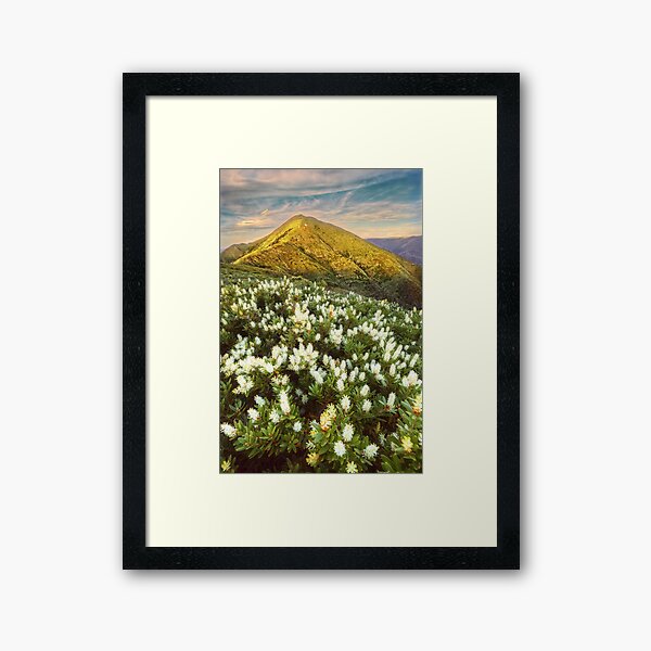 Last light on Feathertop Framed Art Print