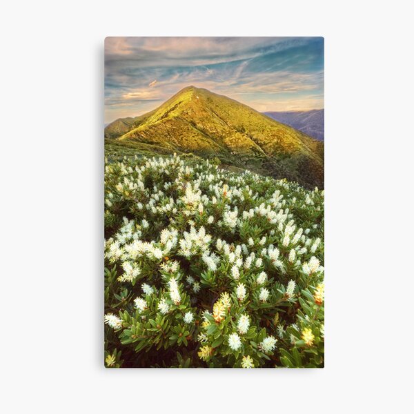 Item preview, Last light on Feathertop designed and sold by Kevin McGennan.