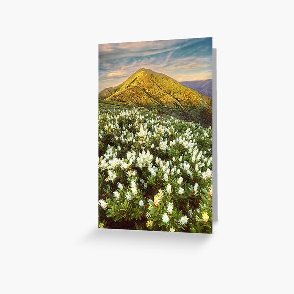 Item preview, Last light on Feathertop designed and sold by Kevin McGennan.