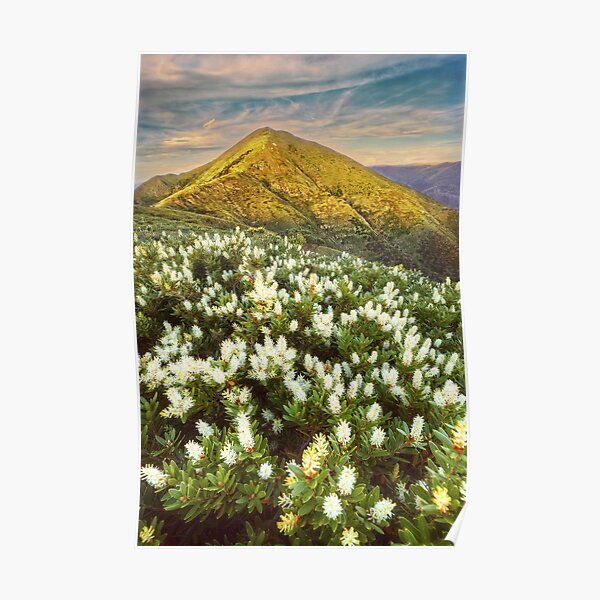 Last light on Feathertop Poster