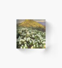 Last light on Feathertop Acrylic Block