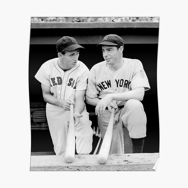 Joe DiMaggio and Ted Williams Essential T-Shirt for Sale by  ClementinaHauck