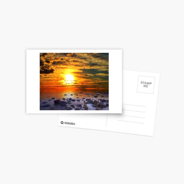 Sunset Shoreline Postcard