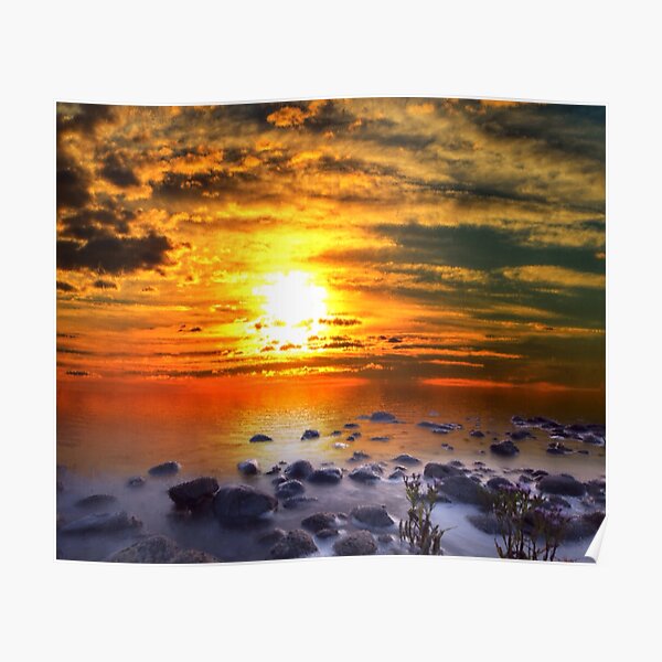 Sunset Shoreline Poster