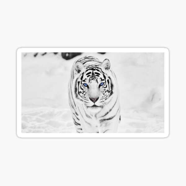 White Tiger Memorabilia Collectible Ball Point Pen Siberian Stationery Big Cat 