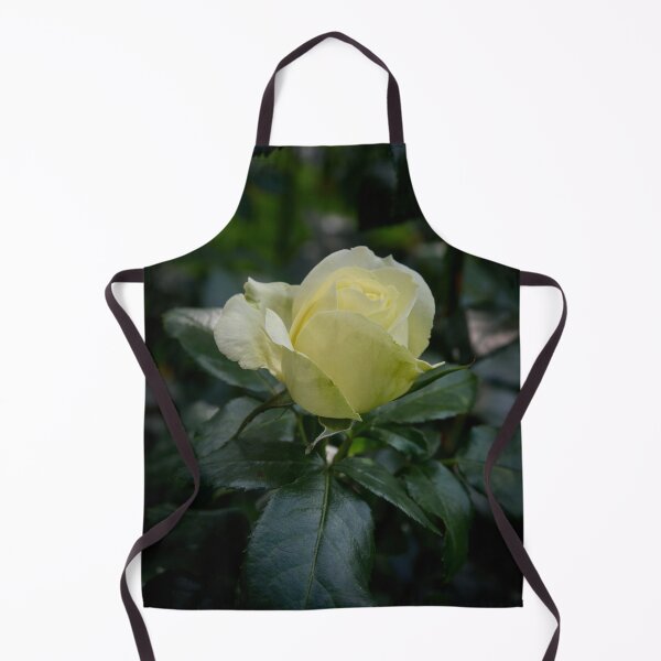 Item preview, Pale pale morning, Rosegarden serie designed and sold by Jouko Lehto Photography.