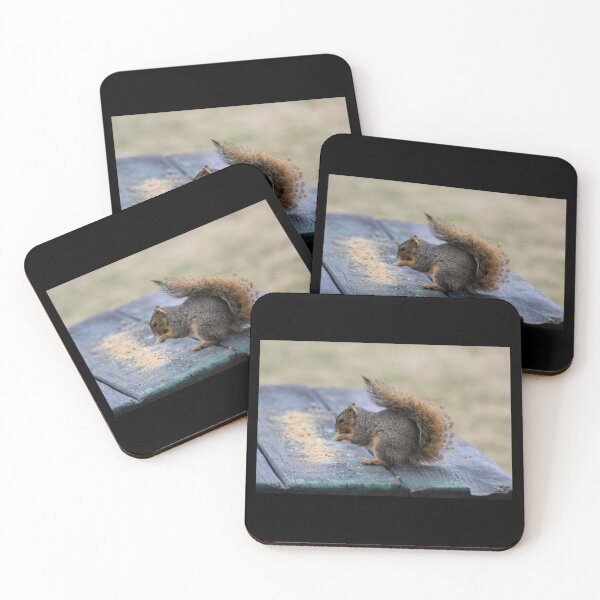 Item preview, Squirrel Snack designed and sold by craftsbydaphy.