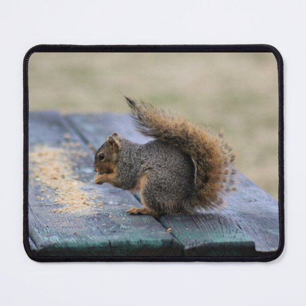 Item preview, Squirrel Snack designed and sold by craftsbydaphy.