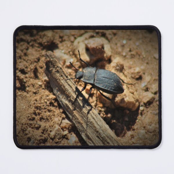 Item preview, Darkling Beetle designed and sold by craftsbydaphy.