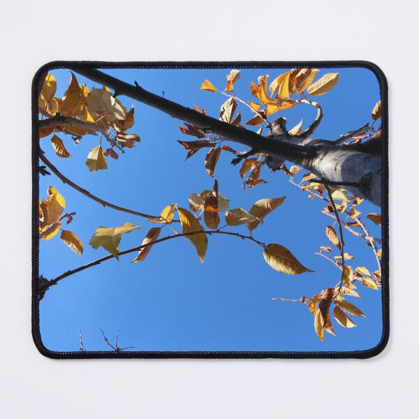Item preview, Yellow Tree Leaves designed and sold by Parallax Grafica.