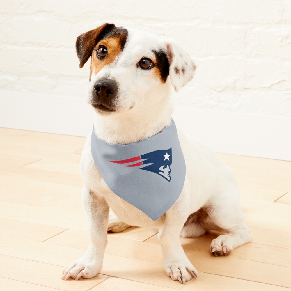 New England Patriots Dog Apparel and Accessories