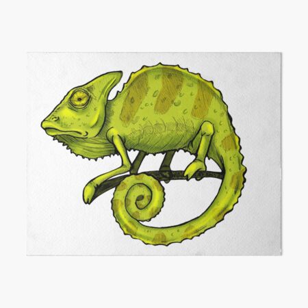 Green chameleon print by Editors Choice