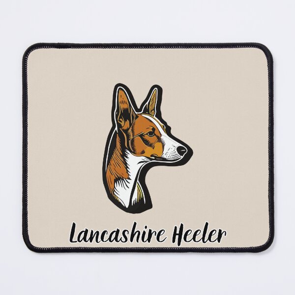 Item preview, Lancashire Heeler Vintage designed and sold by KGSM.