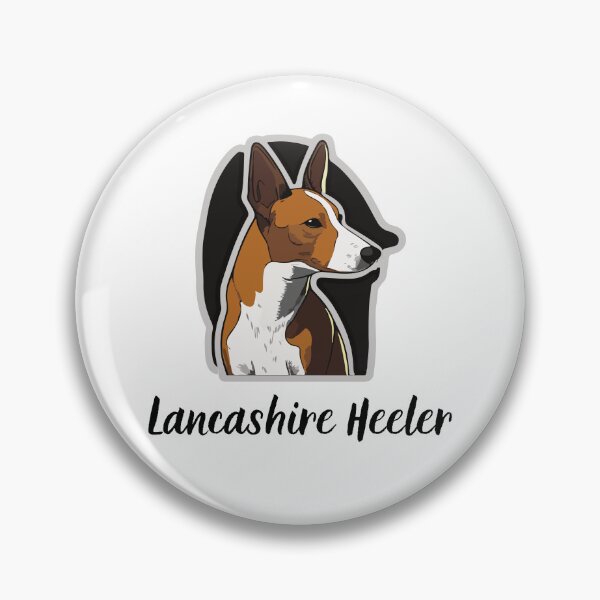 Item preview, Lancashire Heeler Background designed and sold by KGSM.