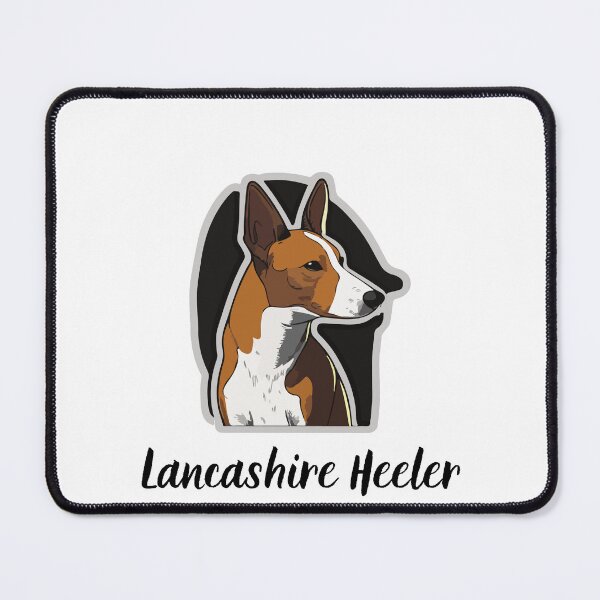 Item preview, Lancashire Heeler Background designed and sold by KGSM.