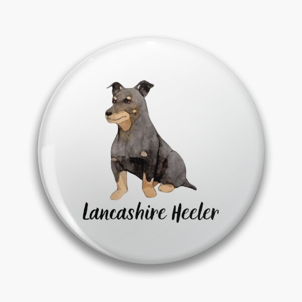 Item preview, Lancashire Heeler Sweet designed and sold by KGSM.
