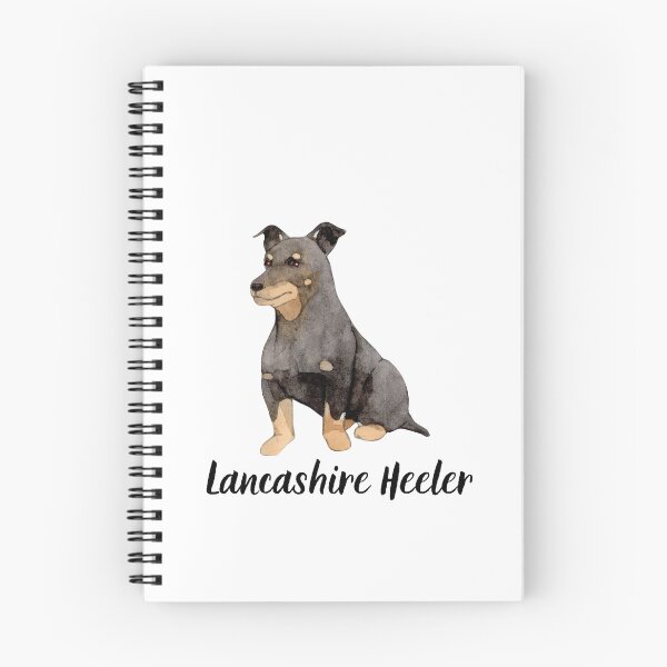 Item preview, Lancashire Heeler Sweet designed and sold by KGSM.