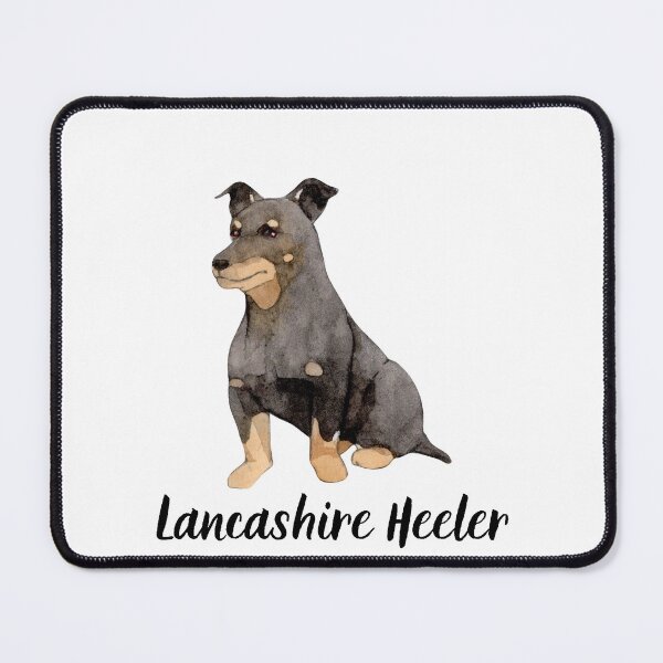 Item preview, Lancashire Heeler Sweet designed and sold by KGSM.