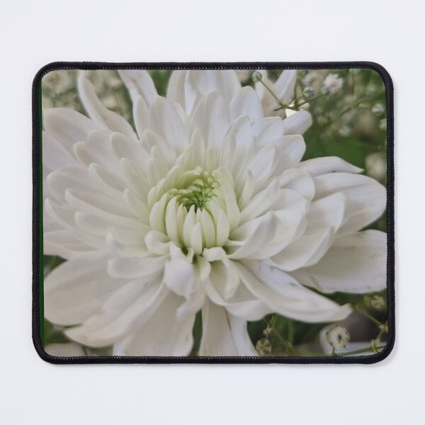 Item preview, Soft Romance Blooms White designed and sold by Colorful Misfits.