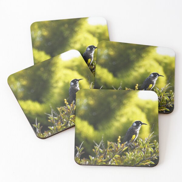 Item preview, New Holland Honeyeater designed and sold by imaginethis.