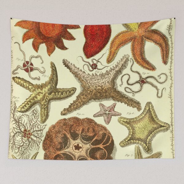 Item preview, Vintage starfish digital print designed and sold by dcrc.