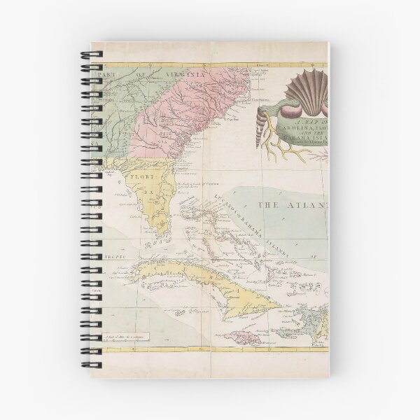 Item preview, Vintage digital print map of Florida designed and sold by dcrc.
