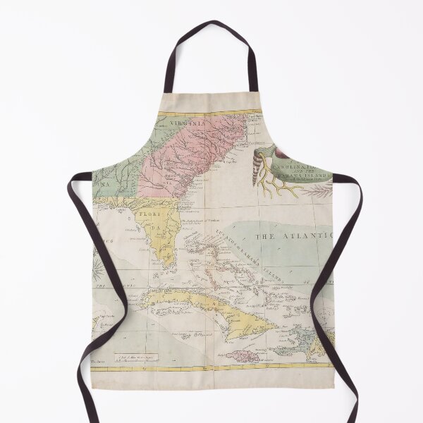 Item preview, Vintage digital print map of Florida designed and sold by dcrc.