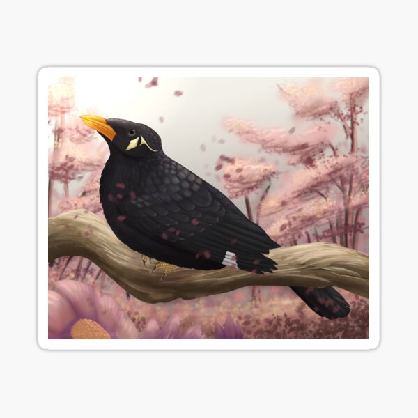 Item preview, Hill mynah designed and sold by DragonArtist15.