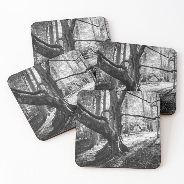 Item preview, Beech Tree Silhouette designed and sold by ShinyPhoto.