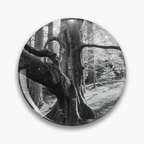 Item preview, Beech Tree Silhouette designed and sold by ShinyPhoto.