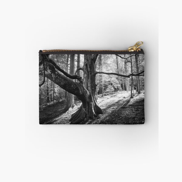 Item preview, Beech Tree Silhouette designed and sold by ShinyPhoto.