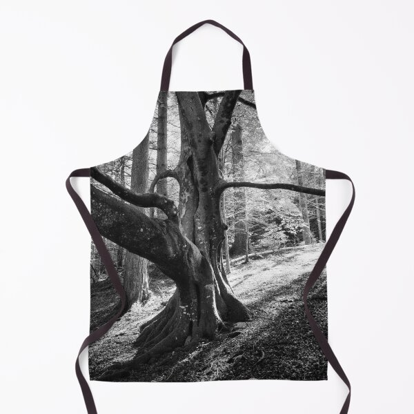 Item preview, Beech Tree Silhouette designed and sold by ShinyPhoto.