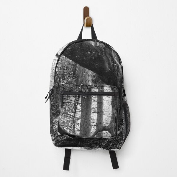 Item preview, Beech Tree Silhouette designed and sold by ShinyPhoto.