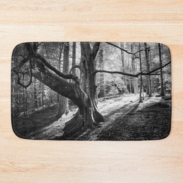 Item preview, Beech Tree Silhouette designed and sold by ShinyPhoto.