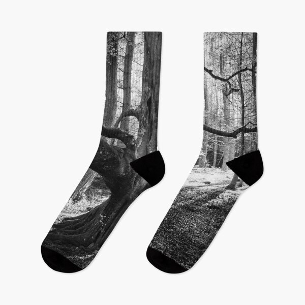 Item preview, Beech Tree Silhouette designed and sold by ShinyPhoto.