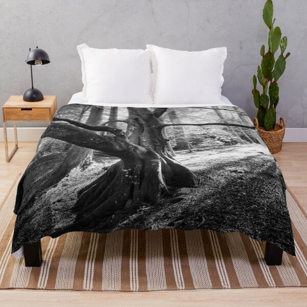 Item preview, Beech Tree Silhouette designed and sold by ShinyPhoto.