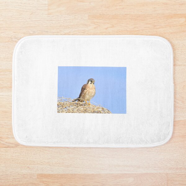 Item preview, American Kestrel on a shrub designed and sold by Eleu Tabares.