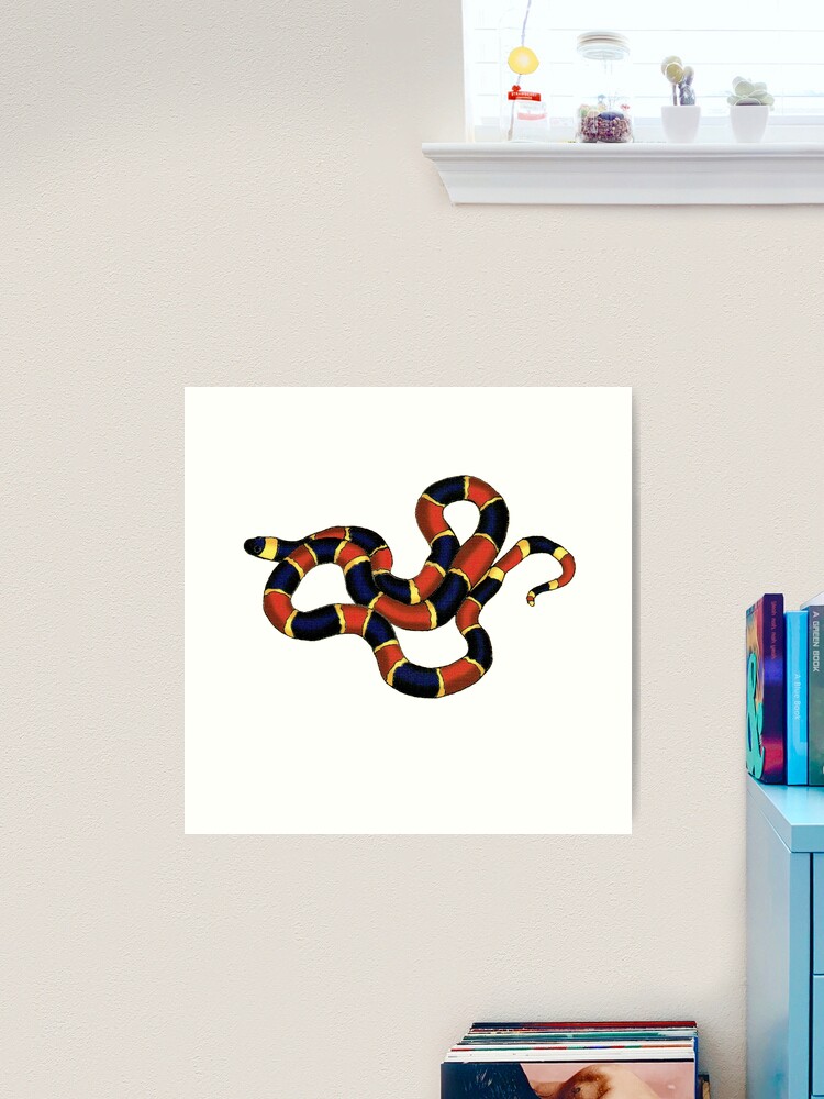 Painted snake, false coral snake or pipe snake available as Framed Prints,  Photos, Wall Art and Photo Gifts