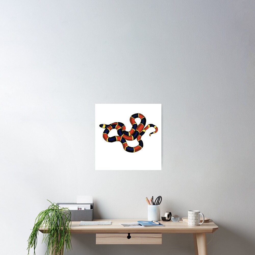 Painted snake, false coral snake or pipe snake available as Framed Prints,  Photos, Wall Art and Photo Gifts