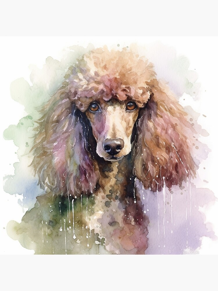 Poodle painting sales on canvas