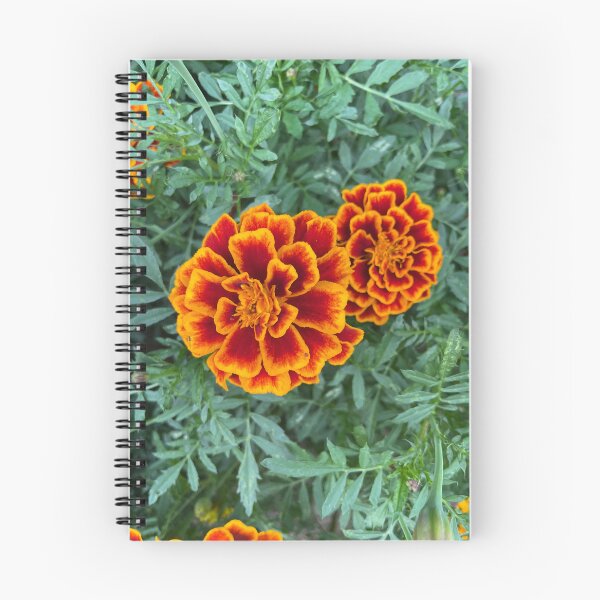 Item preview, marigolds designed and sold by Sonia Osiecka Ramsurn.