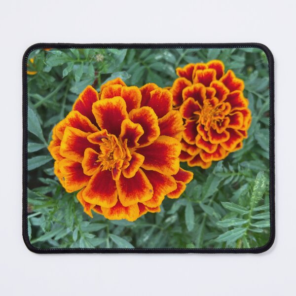 Item preview, marigolds designed and sold by Sonia Osiecka Ramsurn.